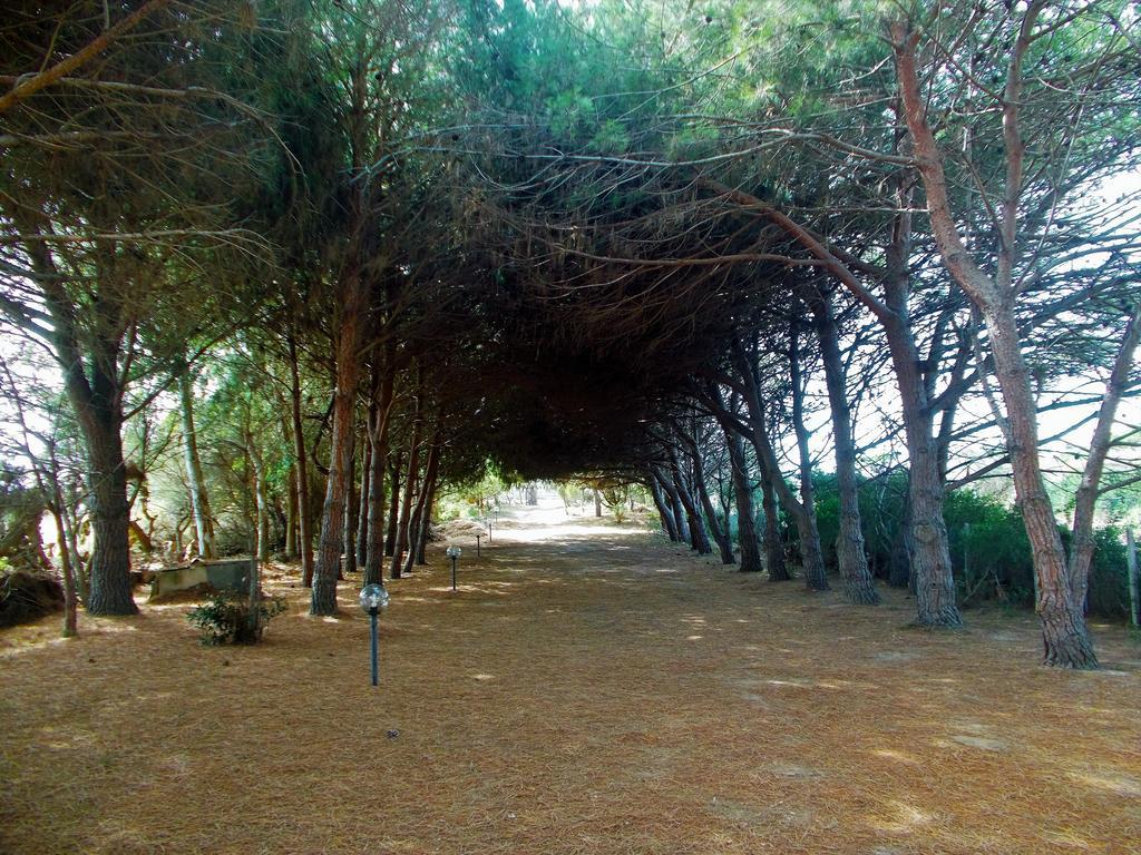 Pineta Spiaggia Grande Calasetta Esterno foto